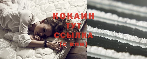 шишки Алексин