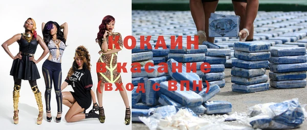 индика Алзамай
