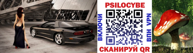 Псилоцибиновые грибы Psilocybe omg ТОР Ухта